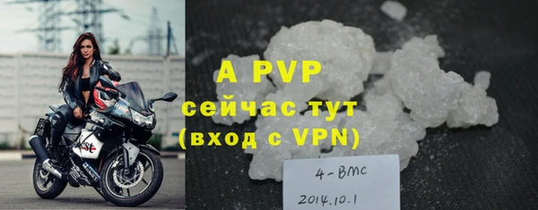 стаф Белоозёрский