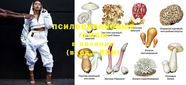стаф Белоозёрский