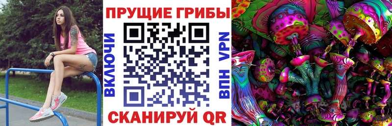 Галлюциногенные грибы GOLDEN TEACHER где можно купить наркотик Кремёнки